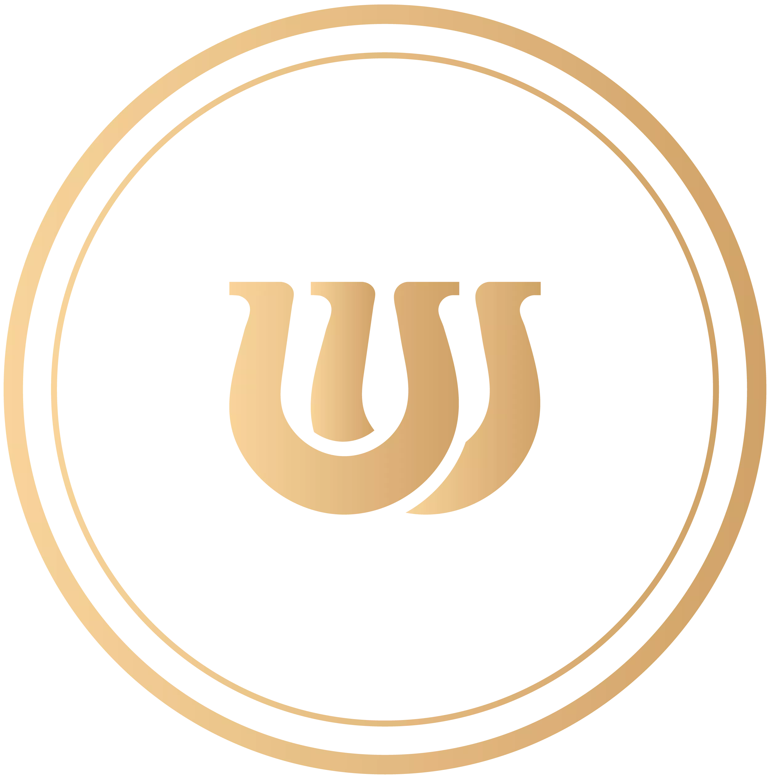 control icon