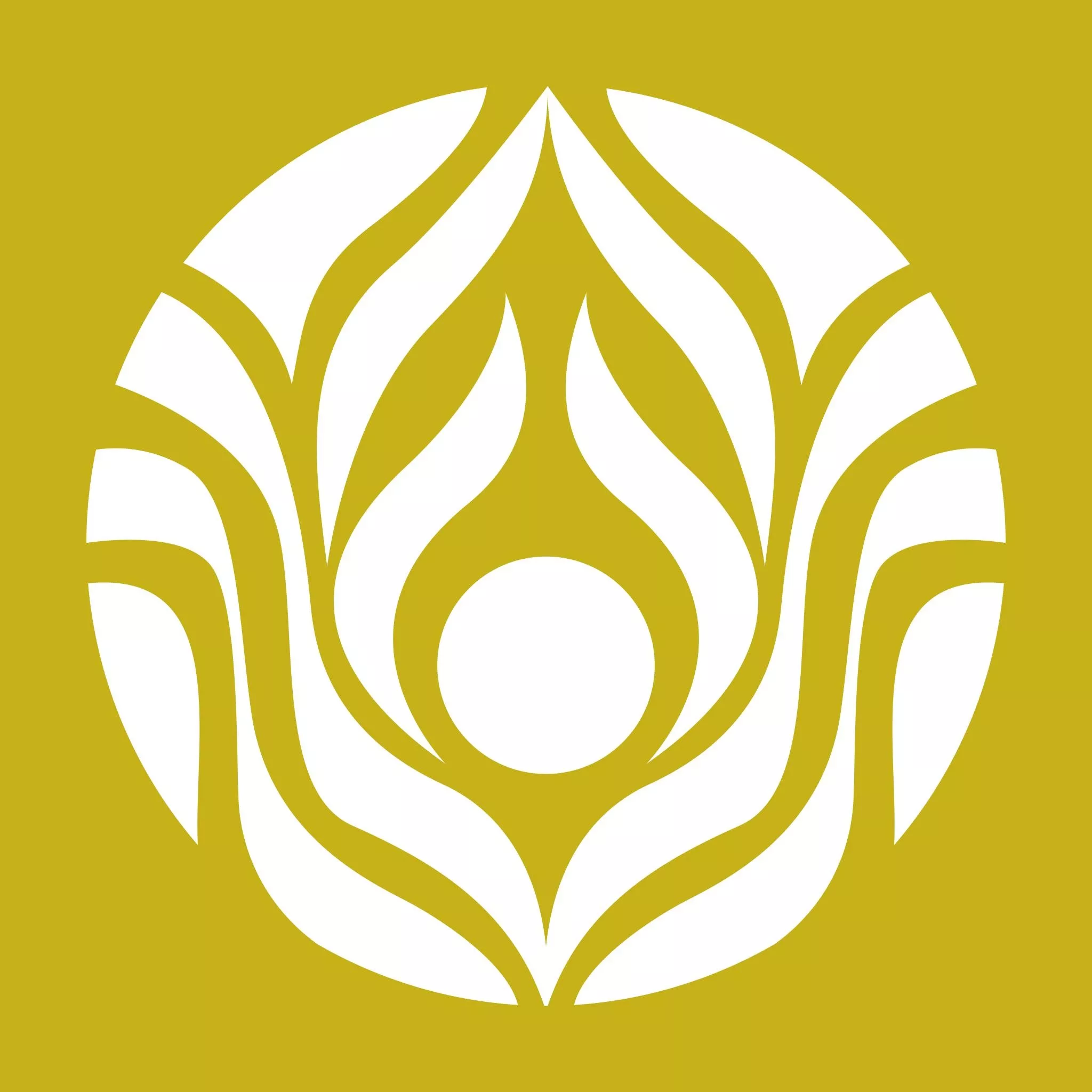 control icon